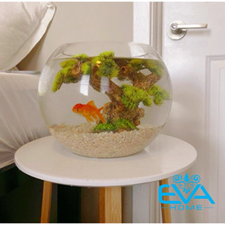 Chậu Thuỷ Tinh Dùng Làm Hồ Cá Bể Cá Để Bàn Dáng Tròn Bầu T02  Round Glass Aquarium Size 24 x 16 Cm