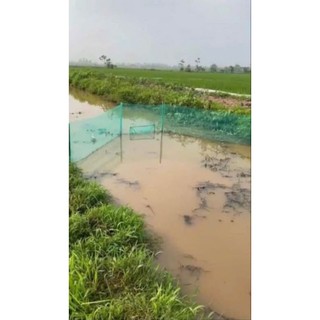 Đăng chặn sông hay còn gọi là Dớn bắt tôm, cua cá - xăm cánh