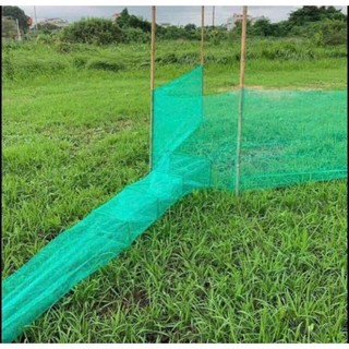 Đăng chặn sông hay còn gọi là Dớn bắt tôm, cua cá - xăm cánh