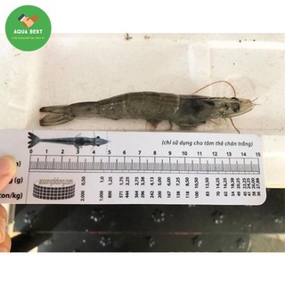 [Chính Hãng] Thước đo chiều dài tôm,Thước đo tôm,Thước đo size tôm, Thước đo kích thước tôm