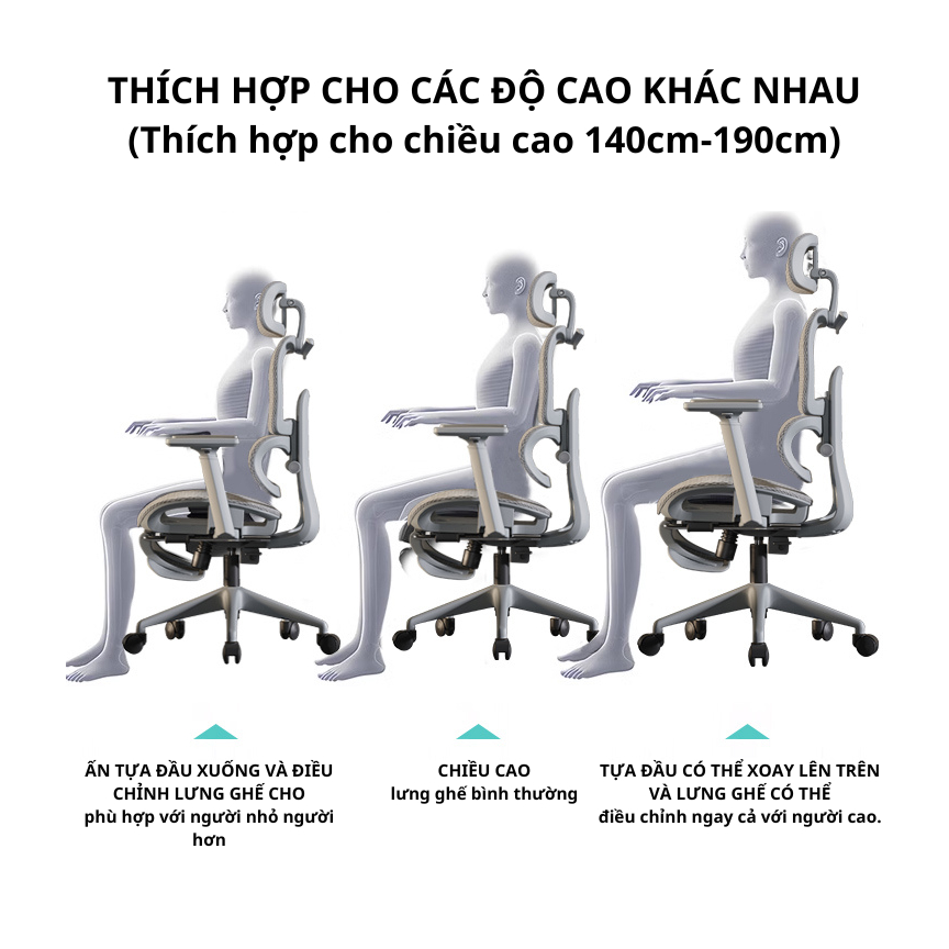 Ghế Công Thái Học CTH19  RESDANI ,Ghế Làm Việc Hỗ Trợ Tuyệt Đối Đốt Sống Lưng Và Cổ Ngả Lưng 135 Độ Lưng Lưới Thoáng | BigBuy360 - bigbuy360.vn