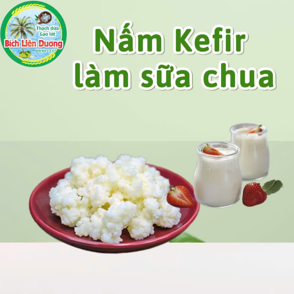 NẤM SỮA KEFIR LÀM SỮA CHUA/ NẤM TÂY TẠNG/ COM MEN LÀM SỮA CHUA