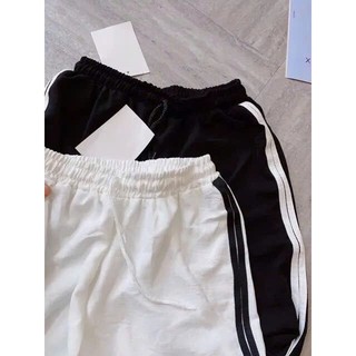 Quần đũi pha lưới viền chữ