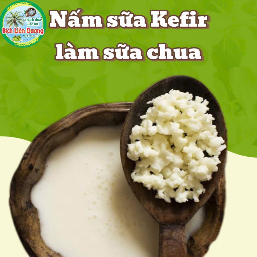 NẤM KEFIR/ NẤM TÂY TẠNG Làm sữa chua tại nhà đơn giản