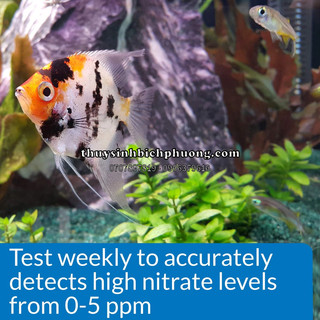 BỘ KIỂM TRA NITRITE API NO2- TEST KIT | ĐO CHẤT LƯỢNG NƯỚC HỒ THỦY SINH