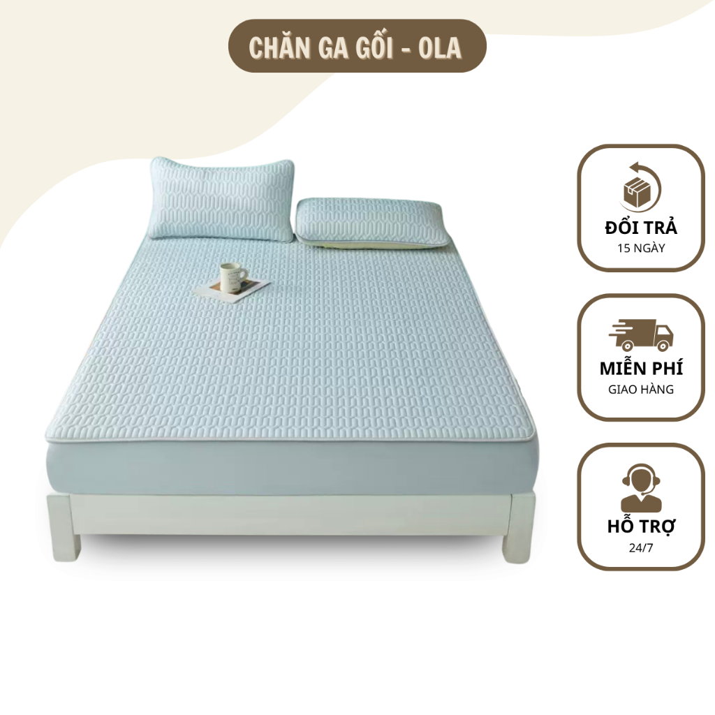 Chiếu điều hòa cao su non chiếu 3D tencel latex nhập khẩu 1m6x2m 1m8x2m 2m2x2m