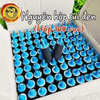 Cục sủi Oxy (Nguyên hộp) Sủi đen.Tạo oxi bể cá cảnh