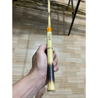  Cần câu trúc cần câu nhấp cá rô đồng TMQT  hết khuyến mãi  