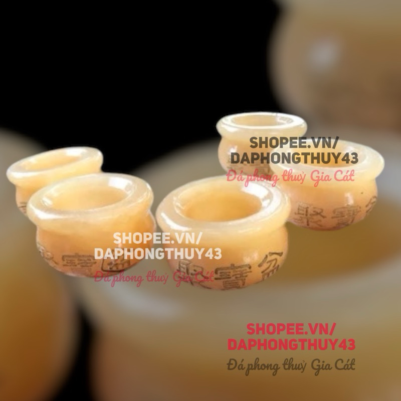 Combo 5 chén vàng ngọc hoàng long