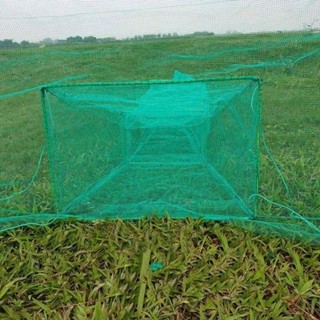 Đăng chặn sông hay còn gọi là Dớn bắt tôm, cua cá - xăm cánh