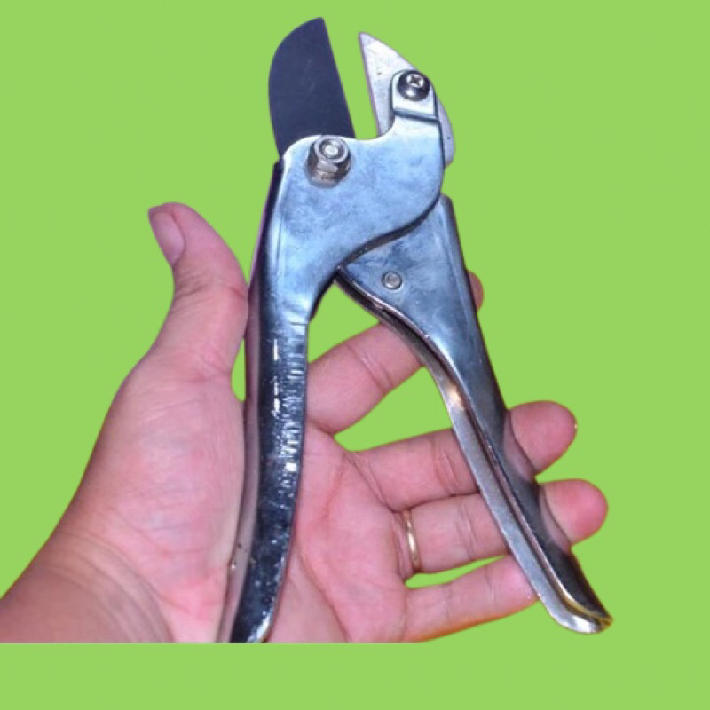 Kiềm japan |Shop japan ATM|