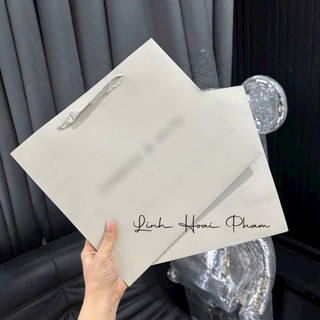 Túi giấy store các hãng
