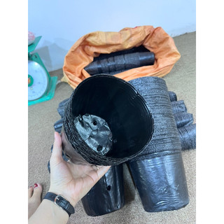 1kg Bầu ươm cây 13*12(300 cái/kg)