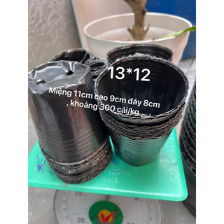 1kg Bầu ươm cây 13*12(300 cái/kg)