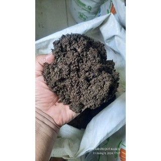 PHÂN TRÙN QUẾ NGUYÊN CHẤT - 10Kg
