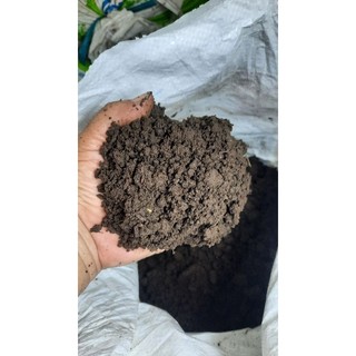 PHÂN TRÙN QUẾ NGUYÊN CHẤT - 10Kg