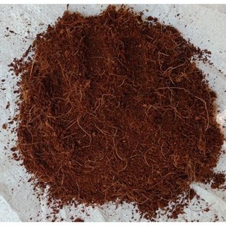 Phôi Nấm Mối (1 kiện 3 bịch) Có Mụn Dừa Đủ Trồng