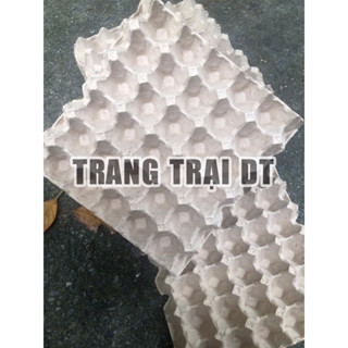 10 Vỉ giấy đựng trứng gà con so, khay giấy đựng trứng gà loại nhỏ (bé hơn 2cm so vỉ giấy bt) Hàng Việt Nam-Mới cứng 100%