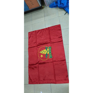 Cờ đội thêu, cờ măng non thêu logo mới Kt 70x105 thêu 1 mặt