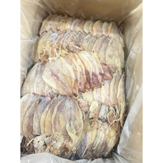  10-12 con khô mực câu tay Lý Sơn tươi ngọt hàng đặc biệt chưa lên phấn trắng 250gram 