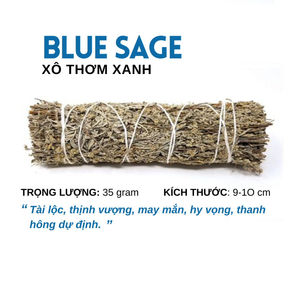 [Labbi] Xô Thơm Xanh (Blue Sage) - thu hút may mắn