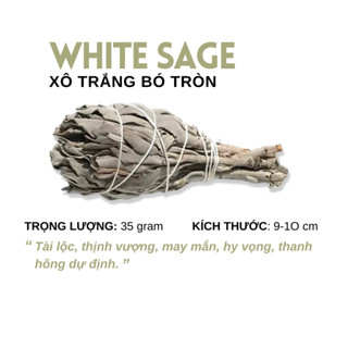   Labbi  Xô thơm trắng bó tròn nhỏ  Round small White Sage  9cm thanh lọc không gian 