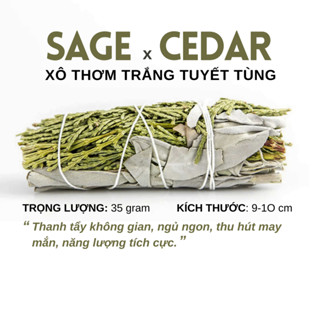 Xô thơm trắng x tuyết tùng (White sage x Cedar) 10cm thanh lọc không gian, thu hút năng lượng[Labbi]