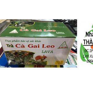 Trà cà gai leo túi lọc lava