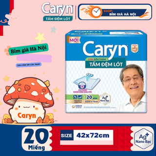  Tấm lót già Caryn 45x72 & 60x70cm #bỉm caryn #caryn #lót già Caryn #lót caryn #đệm lót già caryn #lót caryn #lót già 