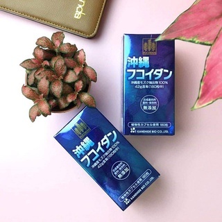(Hàng Auth) Okinawa Fucoidan Kanehide Bio - Fucoidan xanh Nhật Bản 180 viên - Hỗ trợ điều tri u bướu