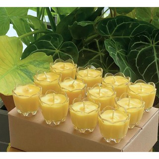 Nến Bơ Thực Vật 100% Dâng Đèn Cúng Dường ( 1 Hộp 12 Ly Hoa Mai ) Đồ Thờ Cúng Hội Tiệc