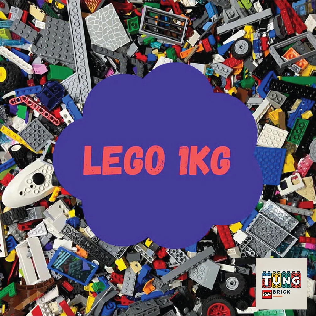 1Kg Lego chính hãng Đan Mạch Used