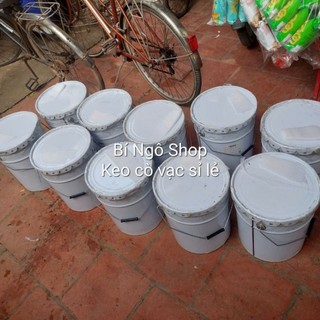 Keo dính cò vạc diệc chuột