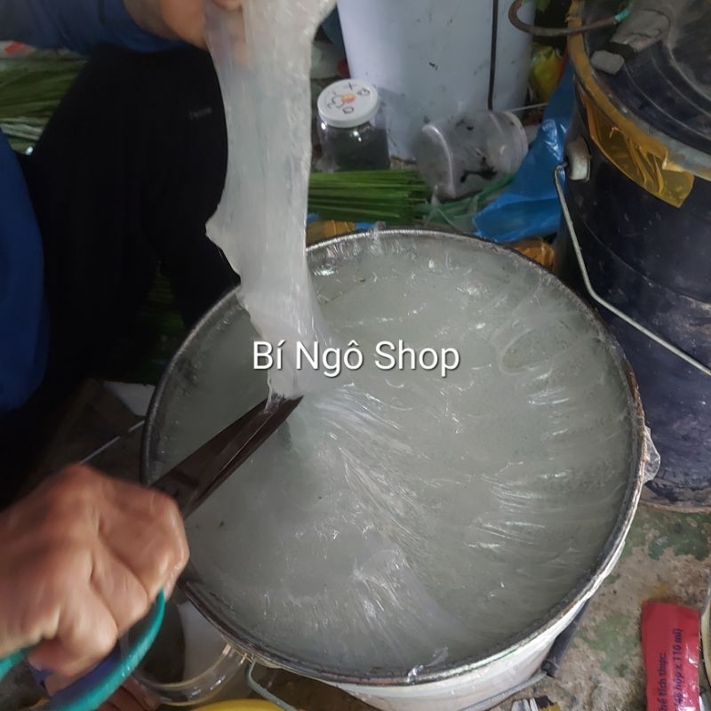 Keo dính cò vạc diệc chuột