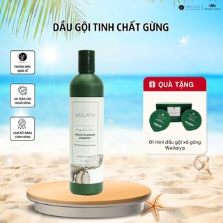 (Gội lẻ) Dầu gội gừng trắng ngăn rụng và kích mọc tóc Weilaiya Ginger Shampoo 400ml