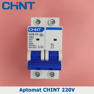 Aptomat 2 pha 63A Delixi DZ47s-C63 CHINT NXB-63 C63