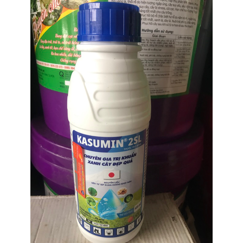 Kasumin 2SL chuyên gia tr.ị khuẩn xanh cây đẹp quả(chai 400ml)