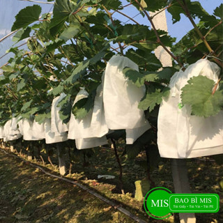 100 Túi Bọc Trái Cây, Hoa Quả Trên Cây Chống Côn Trùng, Túi Vải Bọc Ổi Nho Bưởi Xoài Na Mãng cầu