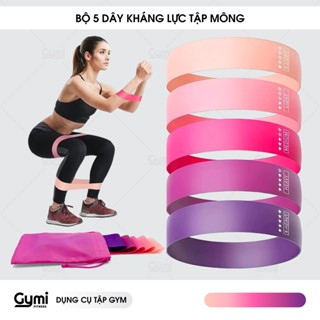 Bộ 5 Dây Kháng Lực Tập Mông Đùi [Hàng Có Sẵn] - Set 5 MiniBand Hồng Tím Cho Nữ - Kèm Túi Đựng, HDSD