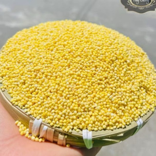 500G  Hạt Kê Đã Tách Vỏ Cho Bé Ăn Dặm Bao Dẻo Nấu Bánh Kê Chè Cháo Kê Đặc Sản Nghệ An - Hạt Kê Vàng