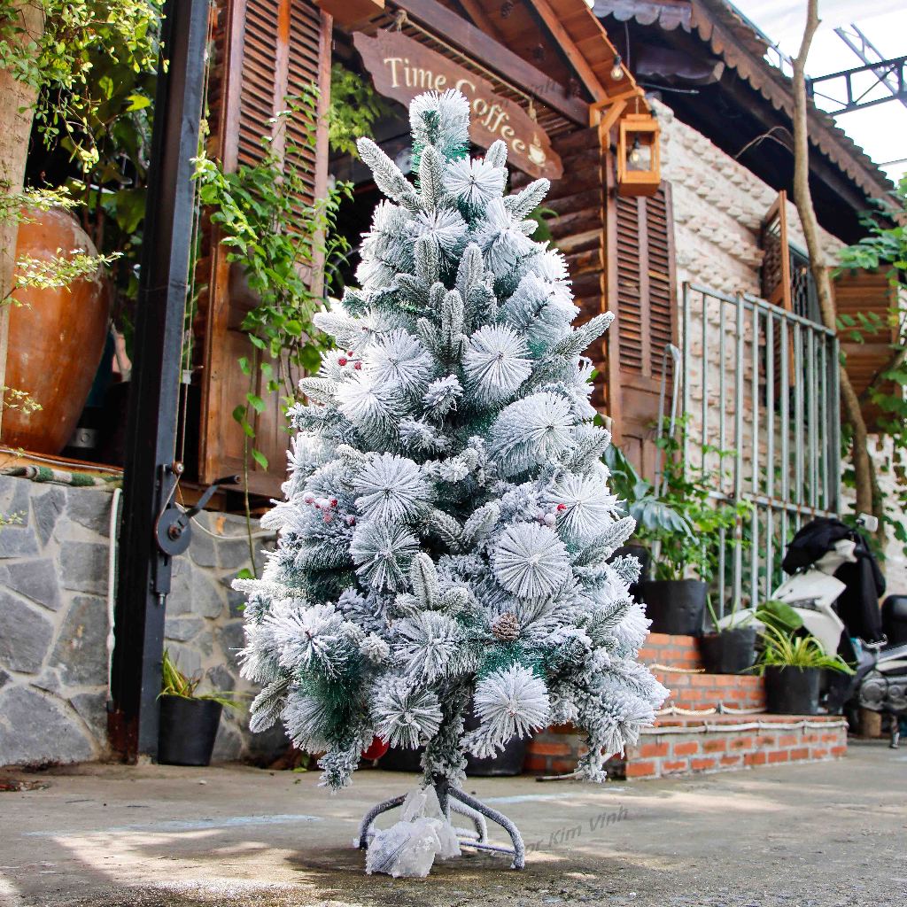 Cây Thông Cước Hỗn Hợp Phun Tuyết C66 Trang Trí Noel Giáng Sinh