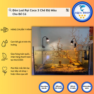 Đèn Led Rọi Coco 3 Chế Độ Màu Cho Bể Cá