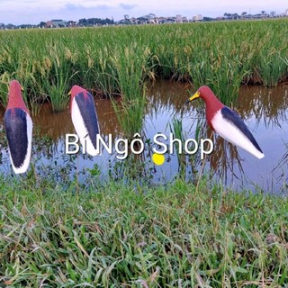 Combo 3 con cò mã đỏ xốp cứng