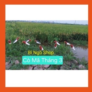 Combo 3 con cò mã đỏ xốp cứng