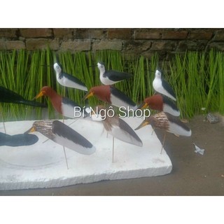 Combo 3 con cò mã đỏ xốp cứng