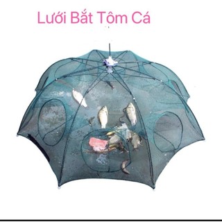Lồng Ô Bát Quái Bắt Cá, Tôm, Cua, Lươn Trạch