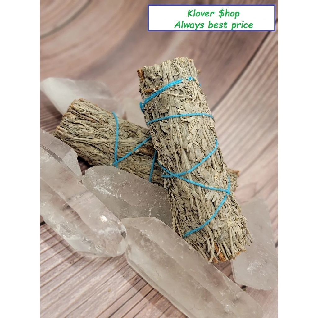 Xô xanh - Blue sage  - Hút tài lộc - Thanh tẩy