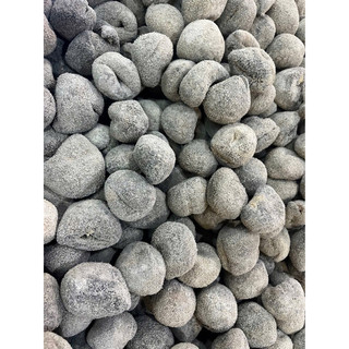 100g Hải sâm dừa xuất khẩu size lớn 3-4 con/100gr_dùng chế biến món ăn.