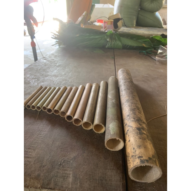 bộ sáo diều D40