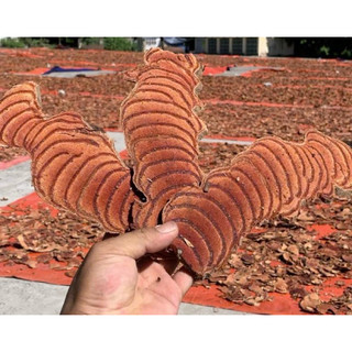 Huyết đằng cỏ máu khô hàng tuyển chọn loại 1 0,5kg